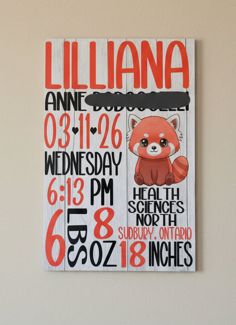 Customized Metal Baby Birth Stat
